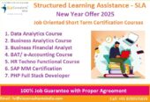 Top Business Analyst Courses in Delhi, 110033 – That You Can Join  “New Year Offer 2025” by [ SLA Consultants India] “100% Job Guarantee”